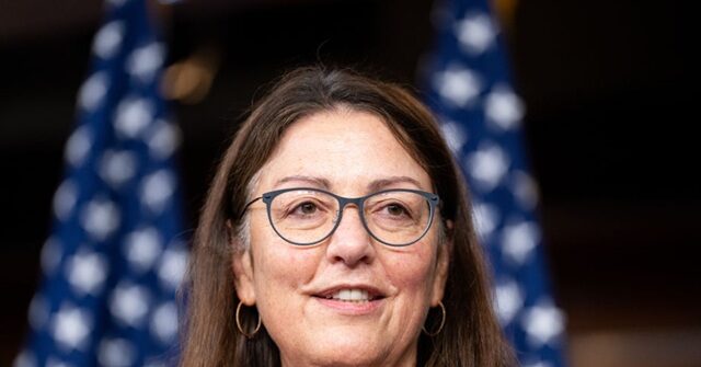 dccc-chair-on-gas-tax-pause:-should-invest-in-green-energy