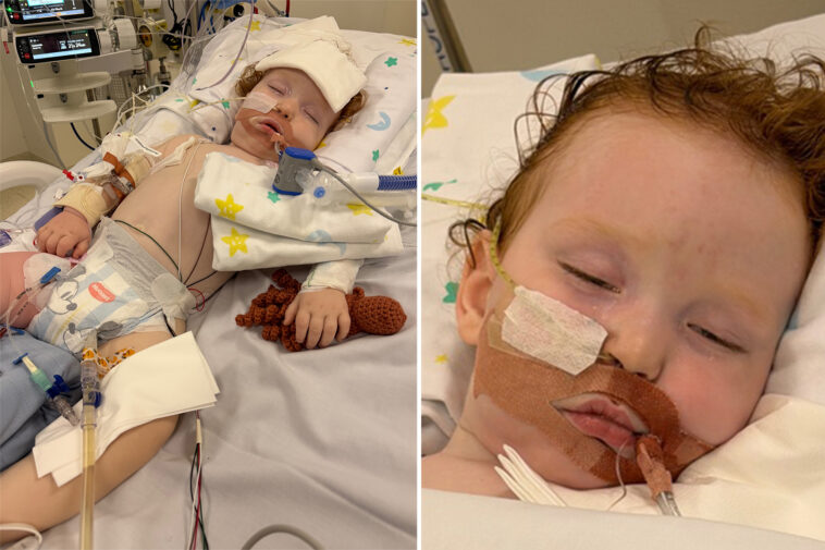 mom-gives-heartwarming-update-on-her-son-who-fell-into-a-coma-after-inhaling-cake-powder