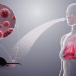 cdc-urges-american-passengers-from-hantavirus-cruise-ship-outbreak-to-‘just-isolate-at-home’-while-insisting-risk-to-public-remains-‘low’