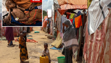 famine-risk-threatens-parts-of-somalia-for-first-time-in-4-years