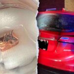 man-shot-at-in-n-out-drive-thru-drove-family-to-safety-with-bullet-lodged-in-head