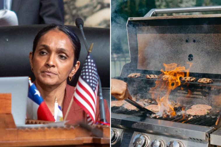 la-mayoral-hopeful-nithya-raman-proposes-backyard-bbq-ban
