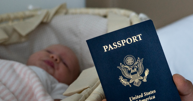 house-panel-to-probe-illegal-visa-use-by-‘birth-tourism’-businesses