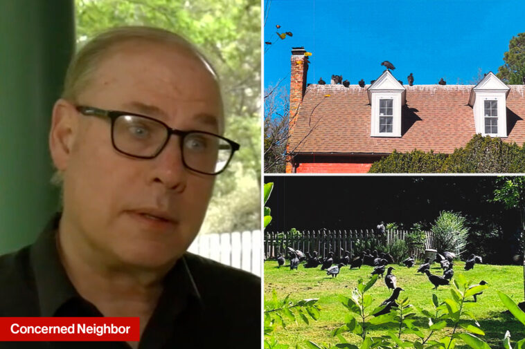 north-carolina-couple-accused-of-causing-vulture-invasion-sued-by-furious-town:-‘not-good-neighbors’