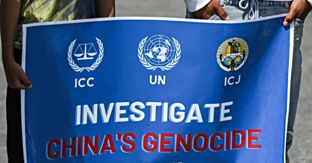 uyghurs-urge-trump-to-use-leverage-with-xi-jinping-to-oppose-genocide