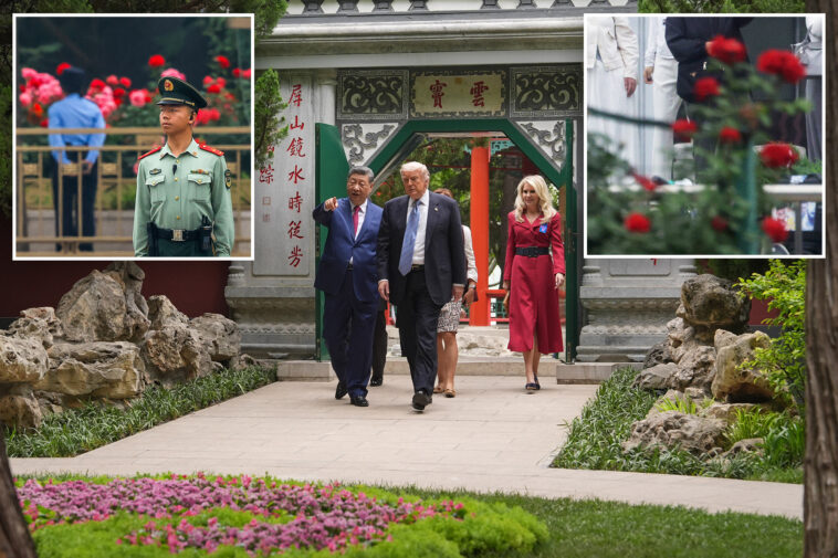 xi-vows-to-send-seeds-after-trump-admires-his-‘most-beautiful-roses’