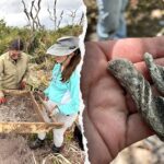 ancient-artifacts-found-beneath-cape-canaveral-space-force-station-as-one-mystery-still-stumps-researchers