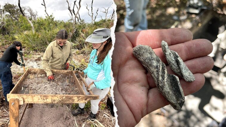 ancient-artifacts-found-beneath-cape-canaveral-space-force-station-as-one-mystery-still-stumps-researchers