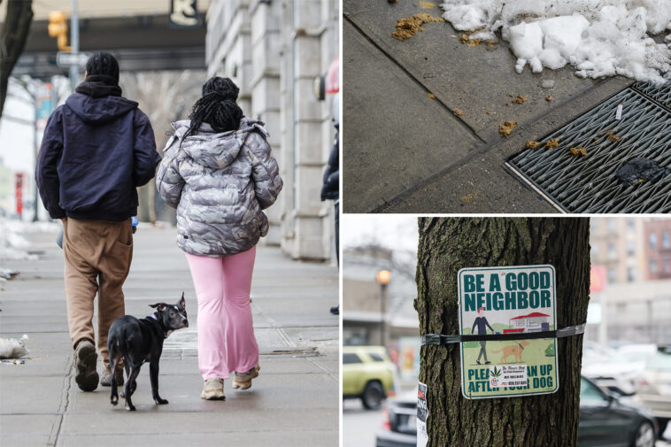 dog-poo-plagues-manhattan,-skidding-to-gross-record-over-winter:-‘this-c—-has-to-stop’