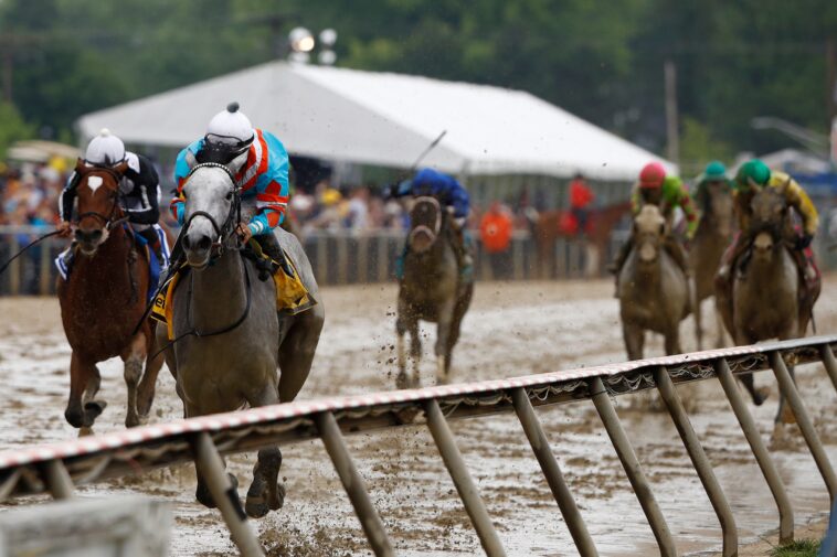 2026-black-eyed-susan-stakes-picks,-predictions,-best-bets