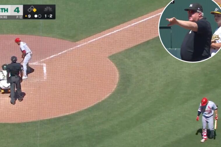 cardinals-rookie-jj-wetherholt-called-out-for-‘egregious’-move-before-at-bat