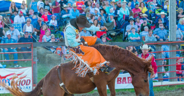 california-dad-blasted-for-intercepting-t-shirt-thrown-to-a-woman-at-rodeo