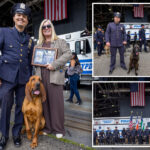 nypd’s-new-k-9-cops-set-to-take-a-bite-out-of-crime-after-graduating