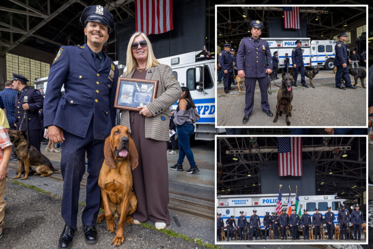 nypd’s-new-k-9-cops-set-to-take-a-bite-out-of-crime-after-graduating