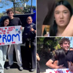 police-in-beverly-hills-arrest-teen-but-the-reason-will-leave-you-smiling