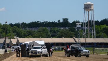 horse-dies-after-finish-line-collapse-in-horror-start-to-preakness-weekend
