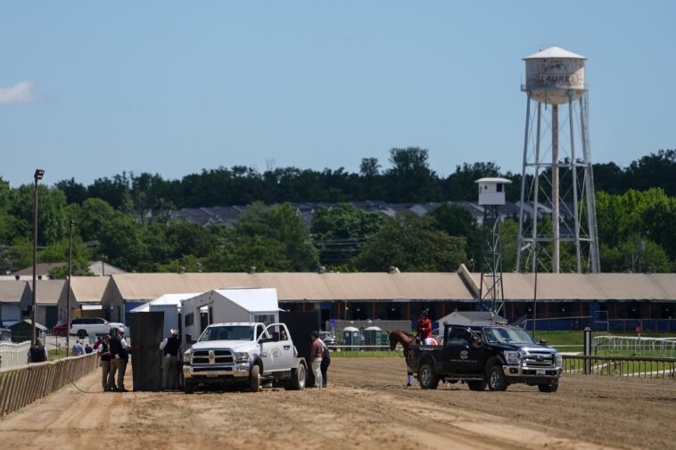 horse-dies-after-finish-line-collapse-in-horror-start-to-preakness-weekend
