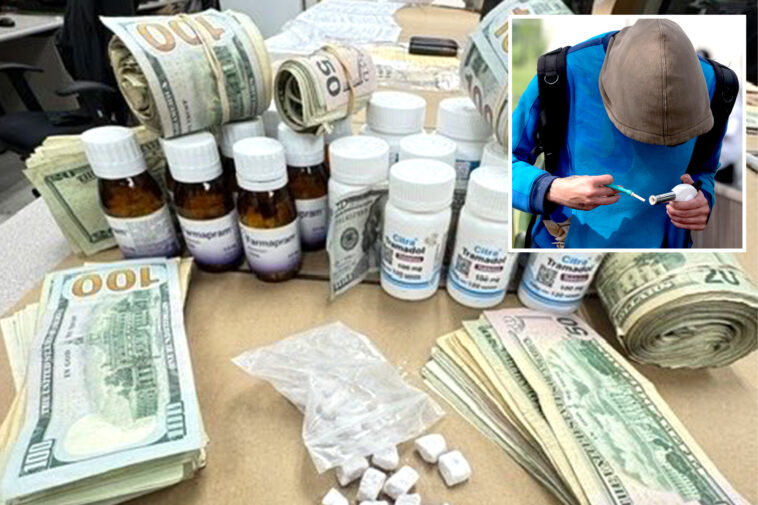 macarthur-park-drug-crackdown-nets-more-arrests-in-fentanyl-sting