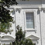 white-house-gets-an-unexpected-buzz-as-thousands-of-bees-swarm-the-executive-mansion’s-north-lawn