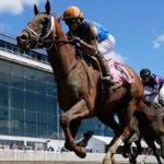 horse-dies-after-crossing-the-finish-line-in-his-first-career-race-in-tragic-start-to-preakness-weekend
