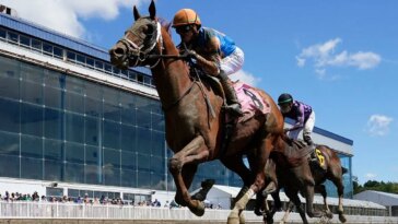 horse-dies-after-crossing-the-finish-line-in-his-first-career-race-in-tragic-start-to-preakness-weekend