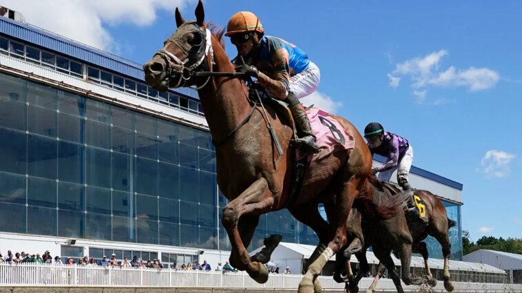 horse-dies-after-crossing-the-finish-line-in-his-first-career-race-in-tragic-start-to-preakness-weekend
