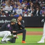 clay-holmes-fractures-fibula-in-loss-to-yankees-in-latest-mets-injury-nightmare