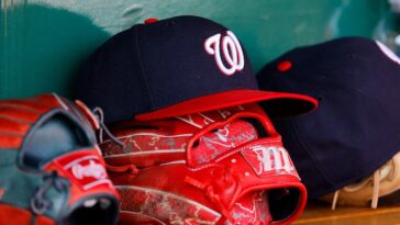washington-nationals-unveil-the-latest-stadium-snack-that-will-excite-some,-horrify-others