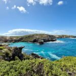 swimmer-killed-in-shark-attack-off-australian-coast