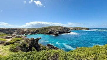 swimmer-killed-in-shark-attack-off-australian-coast