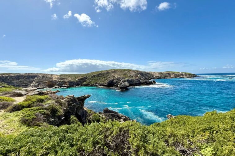 swimmer-killed-in-shark-attack-off-australian-coast