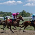 2026-preakness-stakes-picks:-best-bets,-long-shots,-predictions-for-saturday’s-triple-crown-race