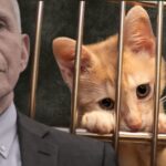 exclusive:-fauci-moved-kitten-experiments-into-nih-after-trump-shut-down-usda-lab,-new-white-coat-waste-investigation-reveals-they’re-still-active