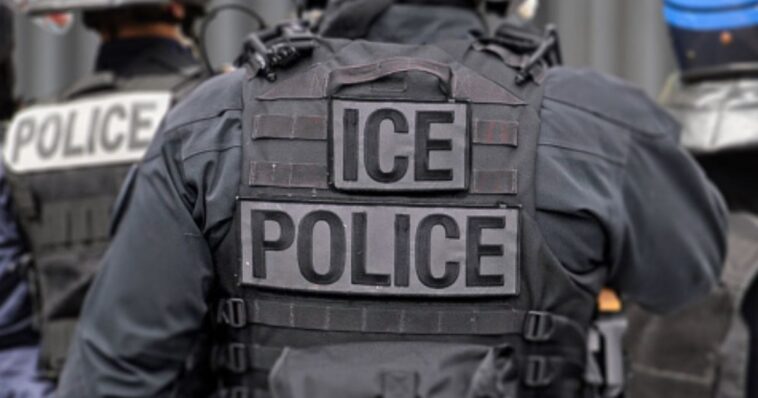 crime-rates-plummet-nationwide-as-deportations-remove-violent-offenders