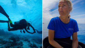 last-words-of-italian-marine-biologist-who-died-in-maldives-scuba-tragedy-revealed