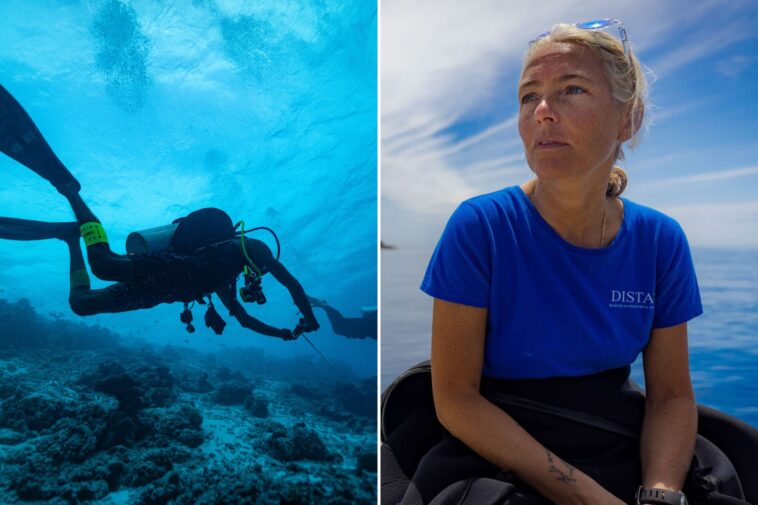 last-words-of-italian-marine-biologist-who-died-in-maldives-scuba-tragedy-revealed