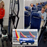 southwest-airlines-bans-robots-after-humanoid-‘stewie’-takes-a-flight
