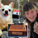 homeless-seattle-man-gets-new-lease-on-life-after-dumpster-dive-discovery