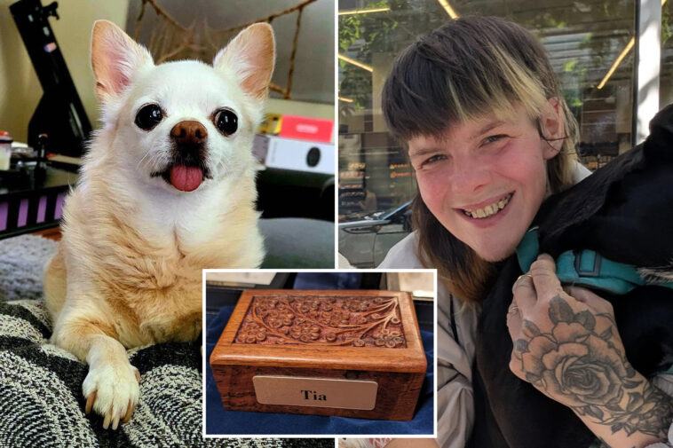homeless-seattle-man-gets-new-lease-on-life-after-dumpster-dive-discovery