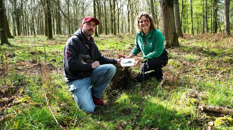dog-walker’s-routine-stroll-turns-into-‘incredible’-3,000-year-old-discovery-in-picturesque-forest