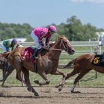 preakness-stakes-2026:-what-to-know-about-the-second-leg-of-horse-racing’s-triple-crown