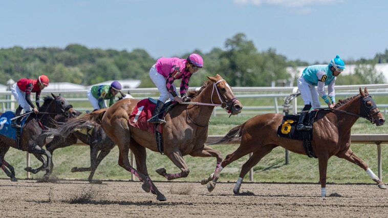 preakness-stakes-2026:-what-to-know-about-the-second-leg-of-horse-racing’s-triple-crown