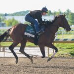 2026-preakness-stakes-picks:-best-long-shot-bets-to-win-middle-jewel-of-the-triple-crown