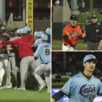 minor-league-teams-clash-in-benches-clearing-brawl-in-wild-scene-—-with-four-ejections