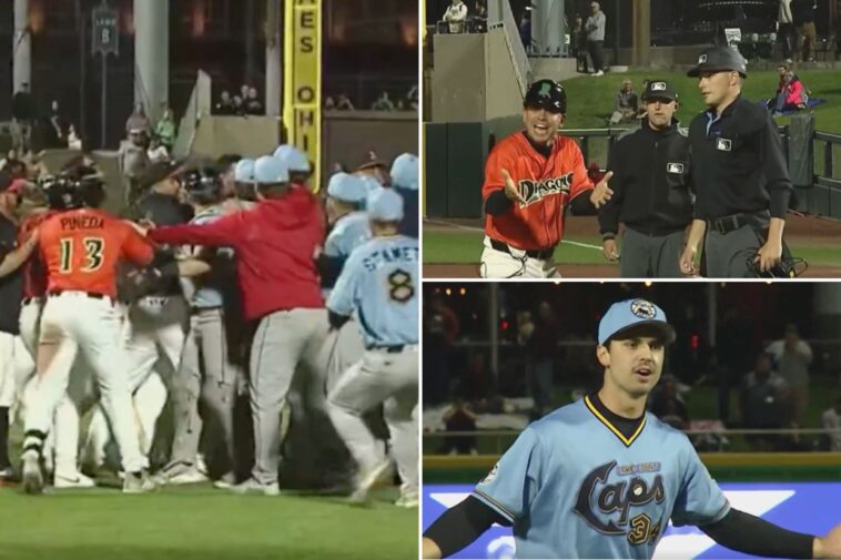 minor-league-teams-clash-in-benches-clearing-brawl-in-wild-scene-—-with-four-ejections