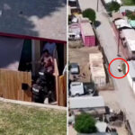 california-suspect-nabbed-after-high-speed-chase-as-police-deploy-clever-tactic
