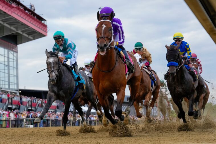 2026-preakness-stakes-picks:-best-horses-to-use-in-exactas,-trifectas