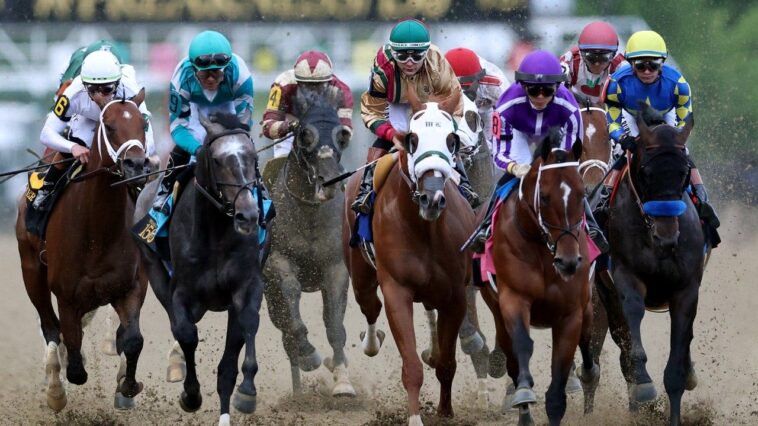 2026-preakness-stakes-post-positions,-morning-line-odds,-picks:-three-horses-to-bet-at-laurel-park