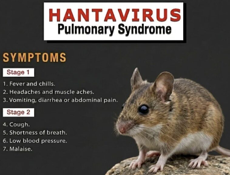 hantavirus:-are-we-on-the-verge-of-another-plandemic?