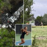 cause-of-deadly-plane-crash-carrying-pickleball-players-to-texas-tournament-revealed